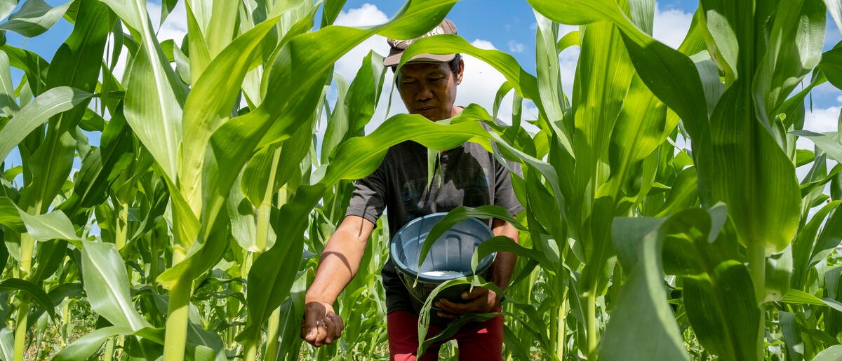 Image for the Inter-American Development Bank