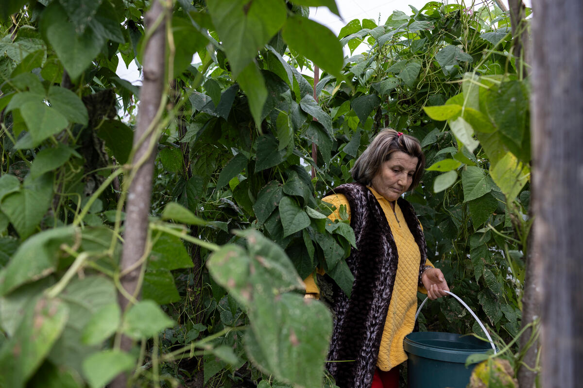 Investment in recovery and resilience for Türkiye’s earthquake-hit farmers