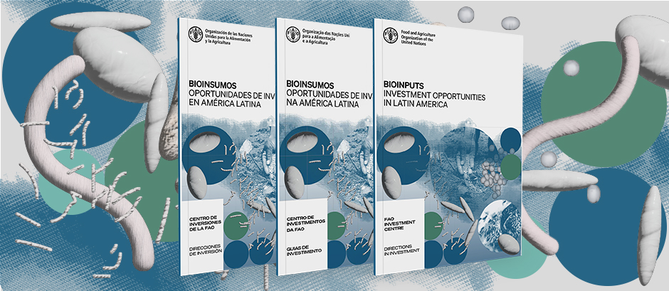 Encendiendo la mecha de los bioinsumos en América Latina Bioinputs opportunities in Latin America, 3-language banner