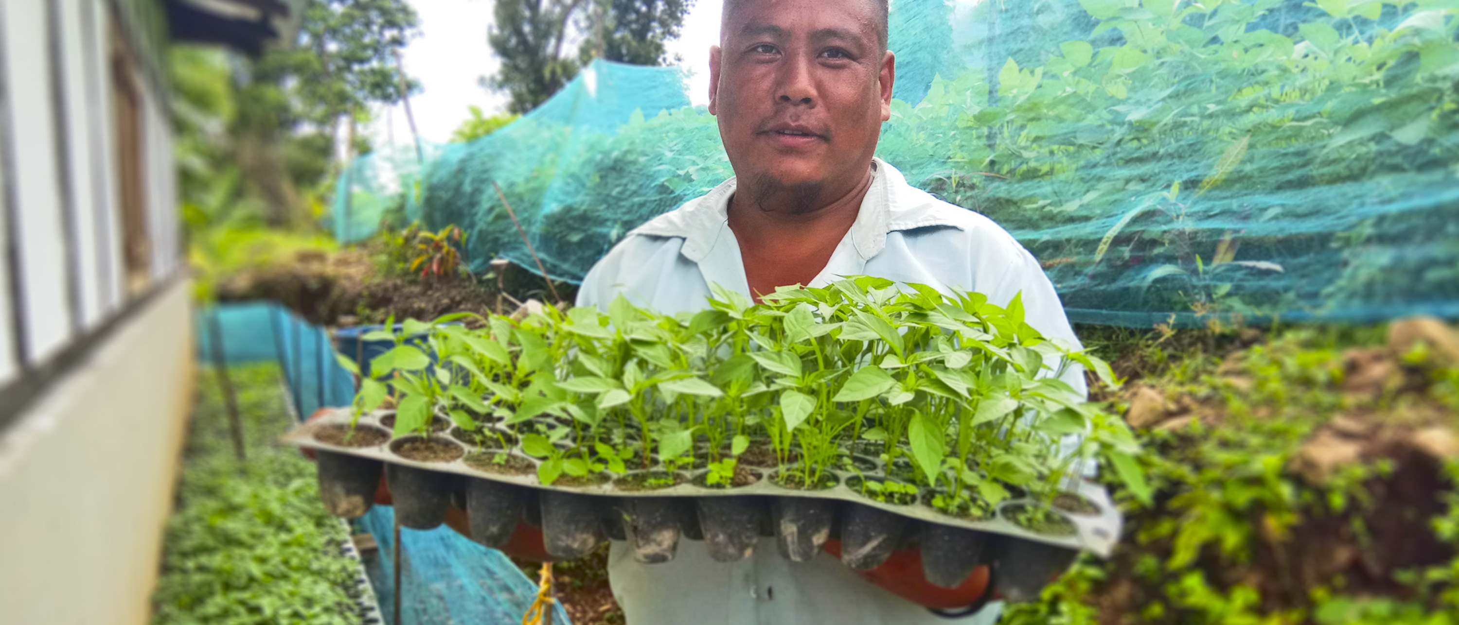 Catalyzing the transition to sustainable and inclusive agrifood systems in Bhutan Catalyzing the transition to sustainable and inclusive agrifood systems in Bhutan