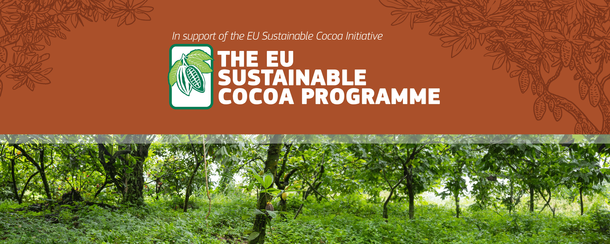 Navigating Sustainability: Cameroon's Cocoa Agroforestry in the Face of EU Regulations Cocoa Agroforestry Web Banner