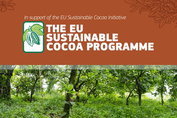 Cocoa Agroforestry Web Banner Cocoa Agroforestry Web Banner