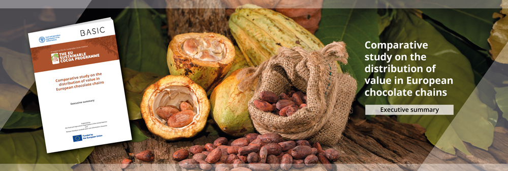 Comprehensive market study confirms low margins for cocoa farmers, in renewed hope for increased income