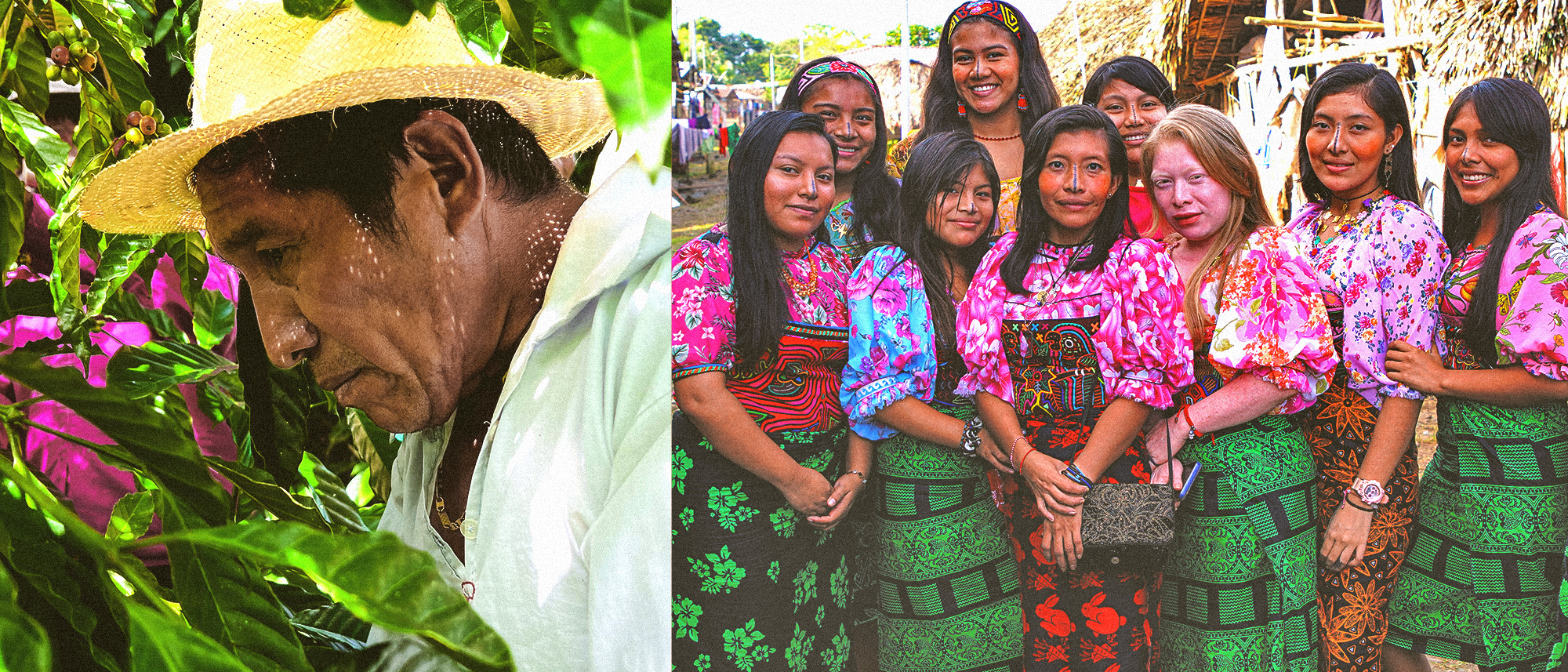 Coffee has the potential to provide Indigenous Peoples’ communities with long-term economic, social and environmental sustainability. For this reason, it was chosen as part of FAO’s ‘One Country, One product’ initiative.