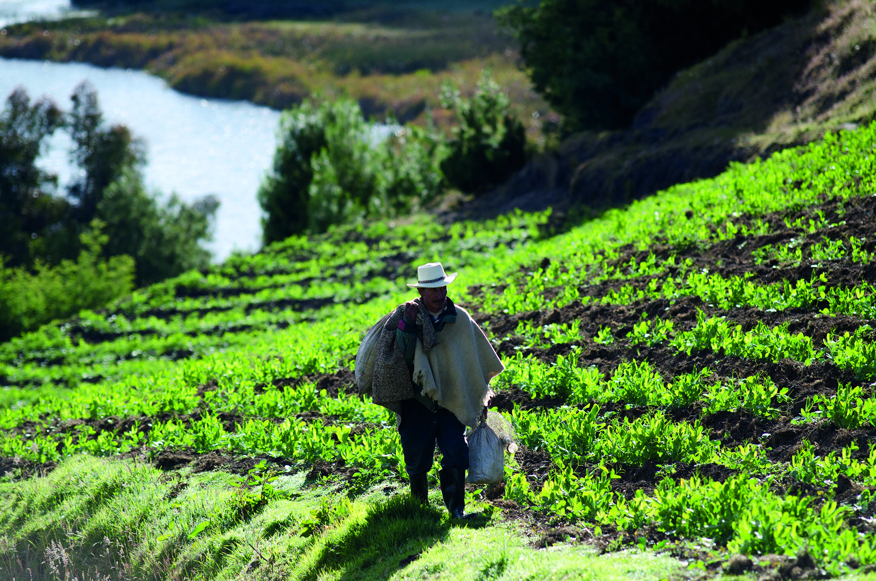 Colombia: cuatro regiones enfrentan diversos desafíos para invertir en sistemas agroalimentarios sostenibles e inclusivos