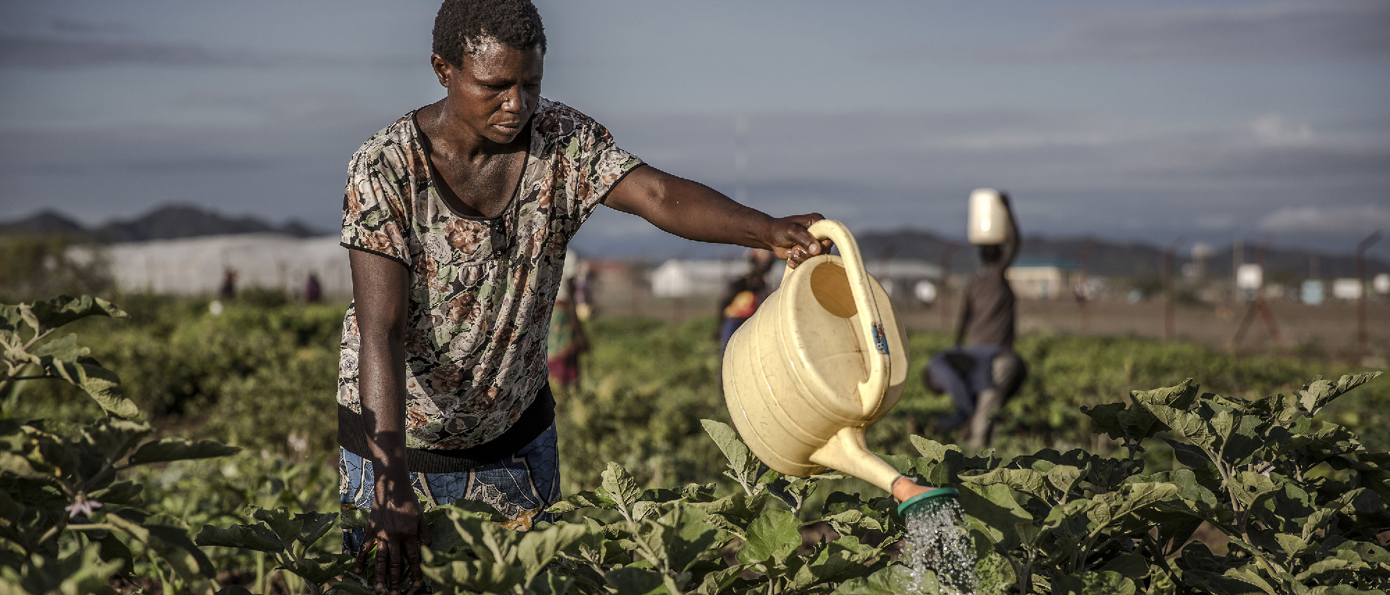 Encourager les investissements dans l’alimentation et l’agriculture en Afrique, aux côtés du Groupe de la Banque africaine de développement Encourager les investissements dans l’alimentation et l’agriculture en Afrique, aux côtés du Groupe de la Banque africaine de développement