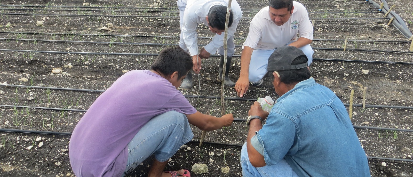 Promouvoir le développement durable et inclusif au Belize Farmers in Belize