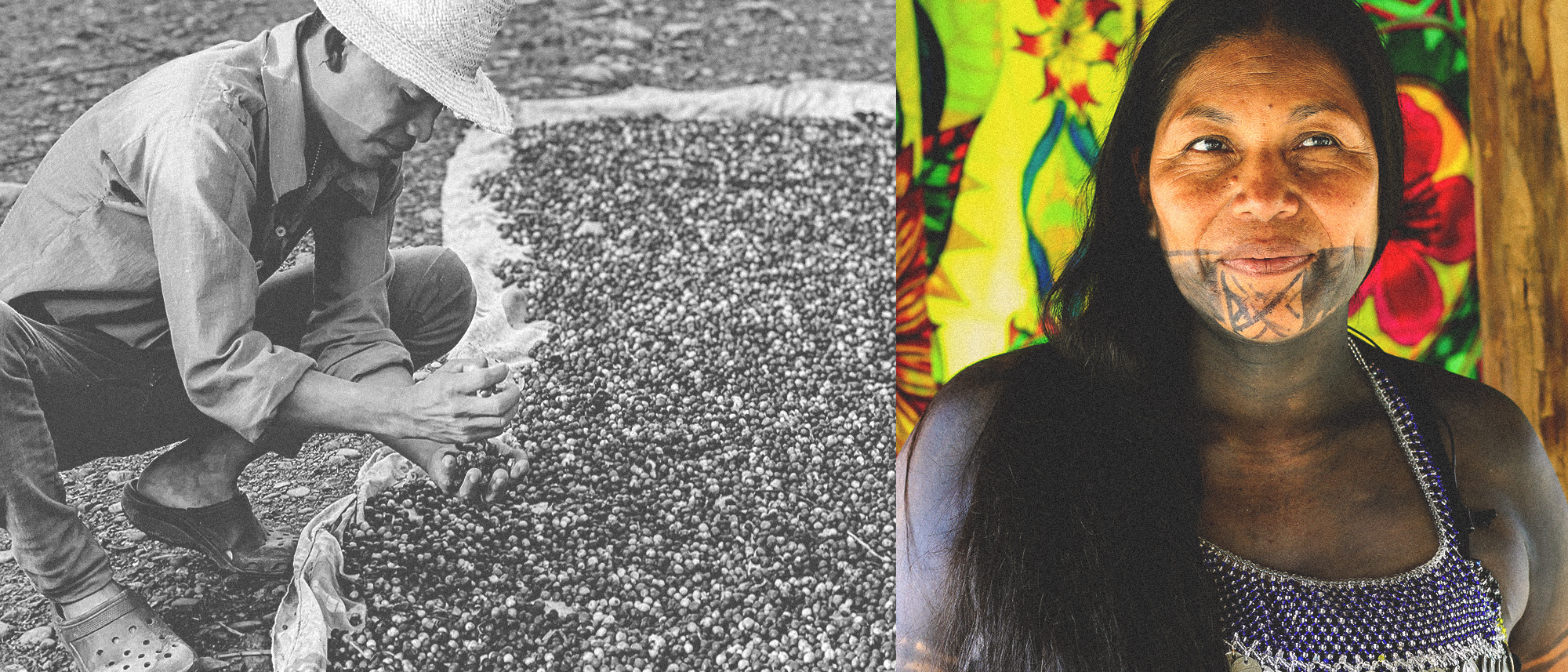 Left: A coffee farmer carefully examines coffee cherries during the drying process. Right: Irene Cansari, a leader from the Ipetí Chocó community, proudly displays her traditional facial tattoos.