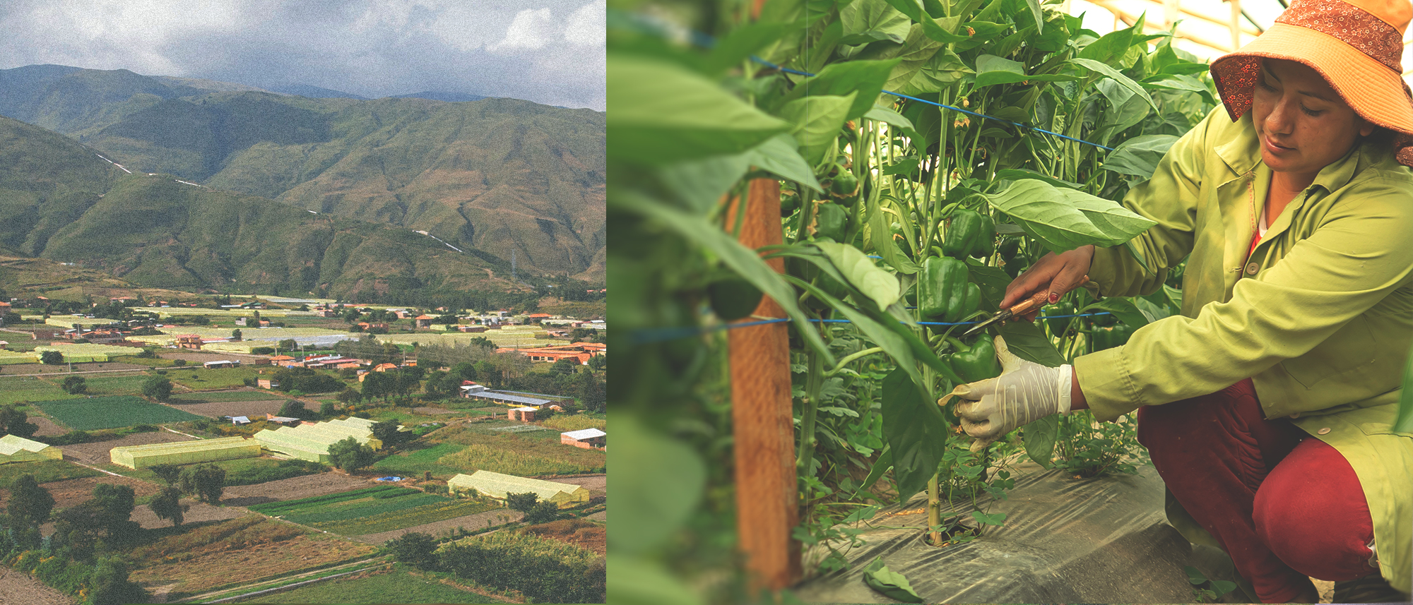 Farmers in Bolivia