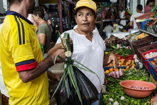 Transitioning to sustainable agrifood systems in Colombia: a territorial focus on three regions