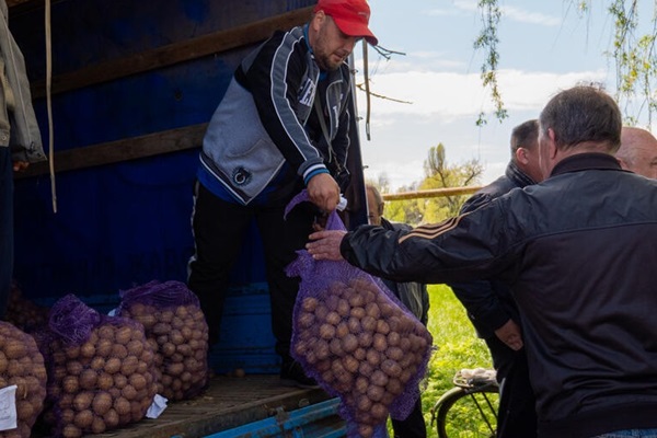 Unloading potatoes from a truck in Ukraine Unloading potatoes from a truck in Ukraine
