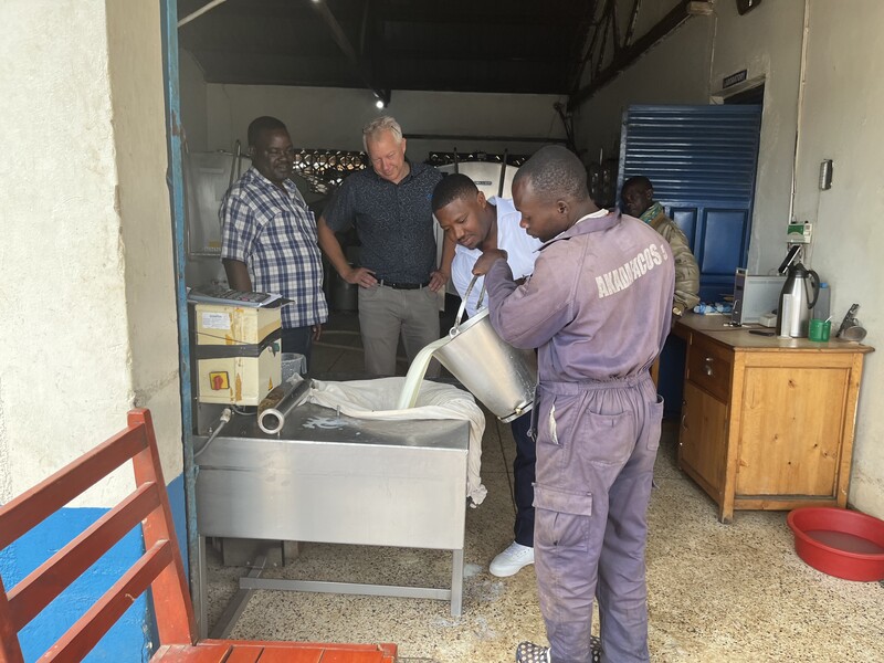 FAO ramps up support to Uganda’s promising dairy sector on World Milk Day