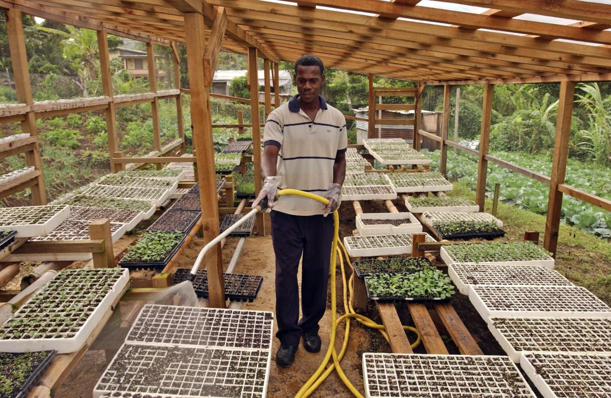 Food Systems Assessment On Track To Deliver Key Data At Un Summit