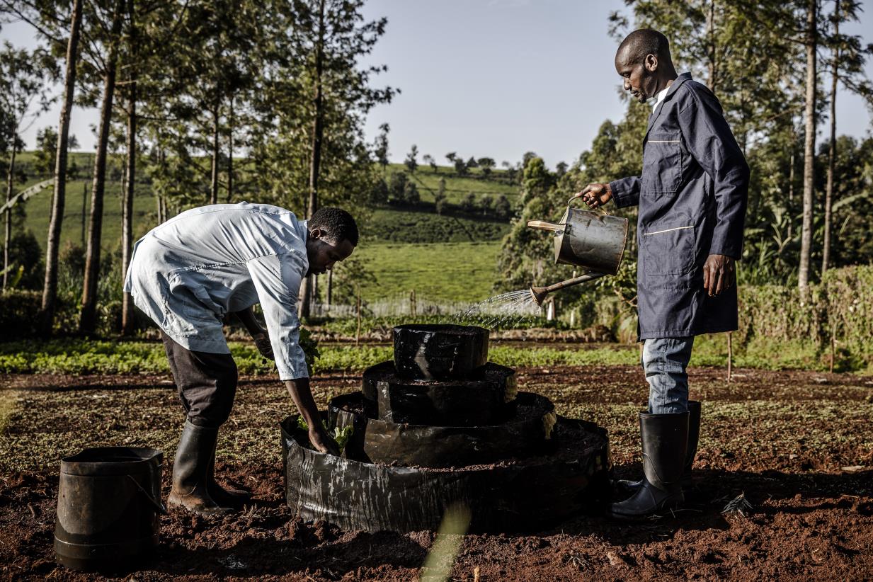 Agri investment appraisal training to unlock more financing toward the sector