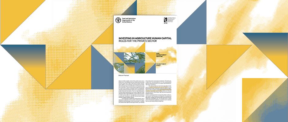 How can governments and the private sector work together to upskill farmers?