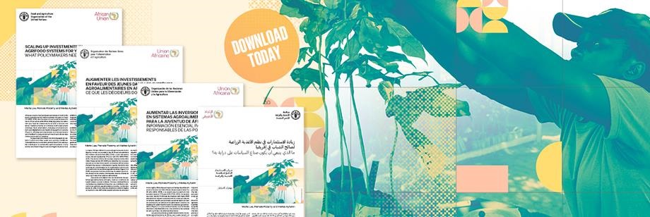 كيف يُمكن لصناع السياسات توسيع نطاق الاستثمار في الأغذية الزراعية لصالح الشباب في أفريقيا كيف يُمكن لصناع السياسات توسيع نطاق الاستثمار في الأغذية الزراعية لصالح الشباب في أفريقيا
