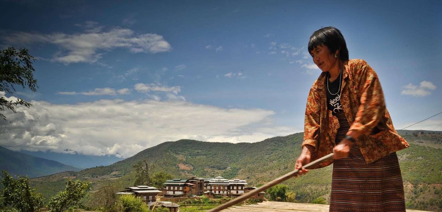 InfoPoint Event: Sustainable Food Systems Transformation in Bhutan