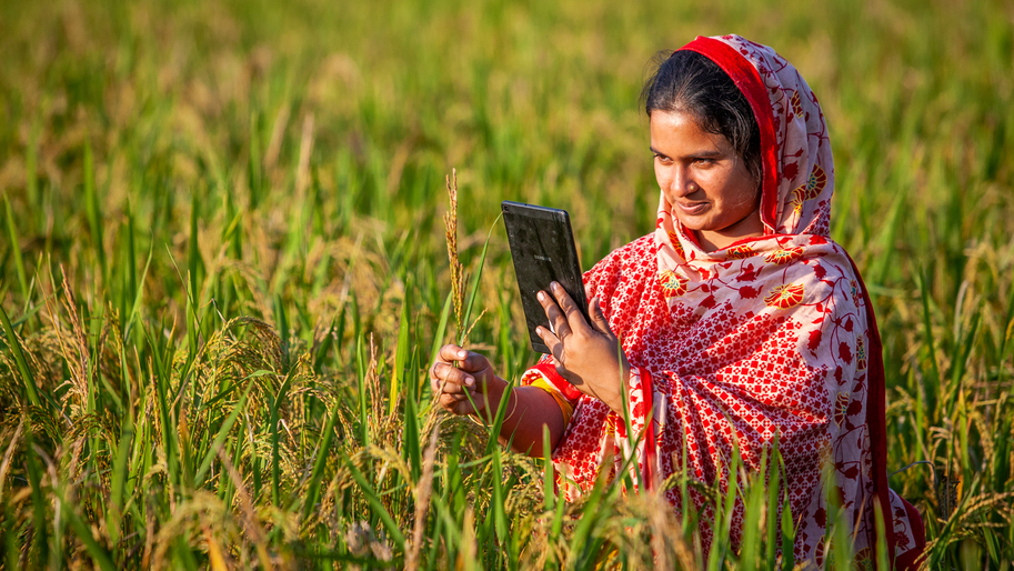 Celebrating achievements in empowering Bangladesh’s smallholders Digital agriculture in Bangla Desh