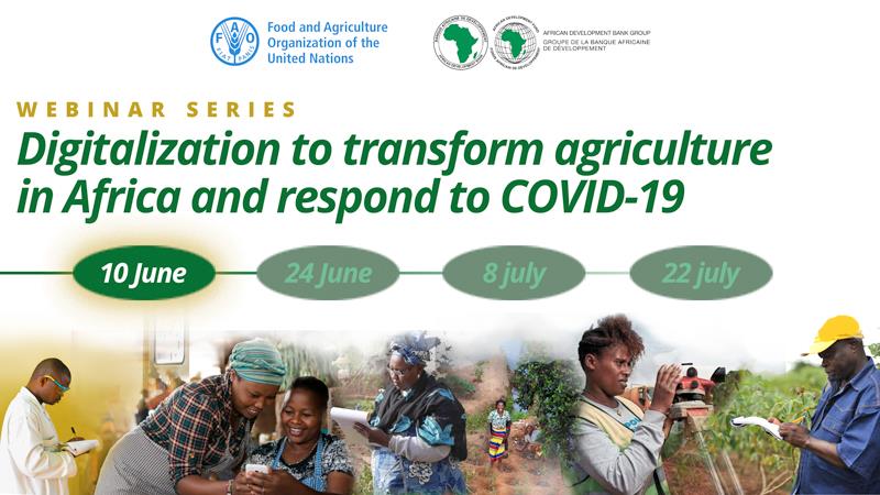 Nouvelle série de webinaires sur la transformation de l’agriculture en Afrique par la digitalisation