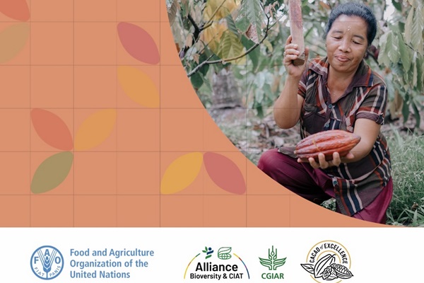 Image combining a photograph of a woman harvesting cocoa and some graphic design elements Image combining a photograph of a woman harvesting cocoa and some graphic design elements