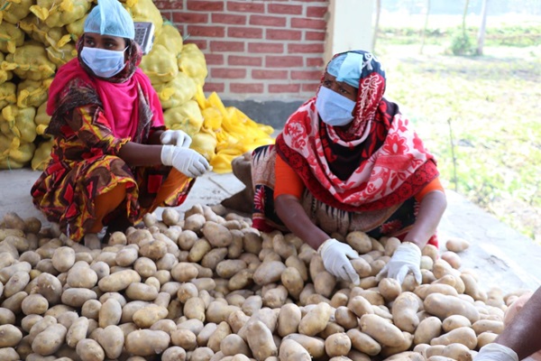 ©FAO/Imanun Bhai