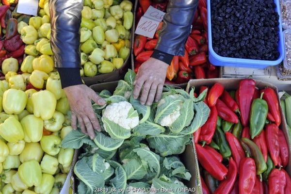 ©FAO/Oliver Bunic