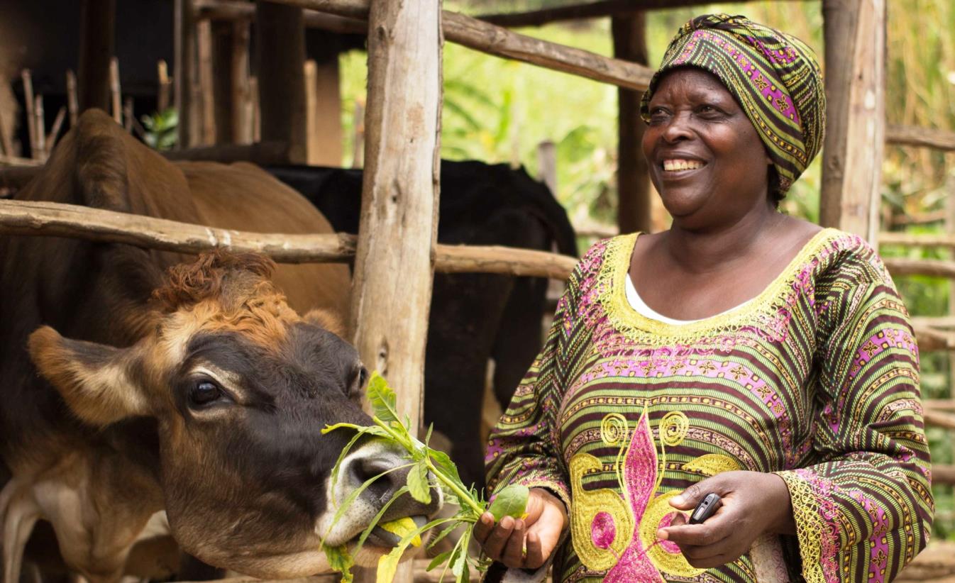 Accelerating the transformation of African food systems is key to meeting the SDGs