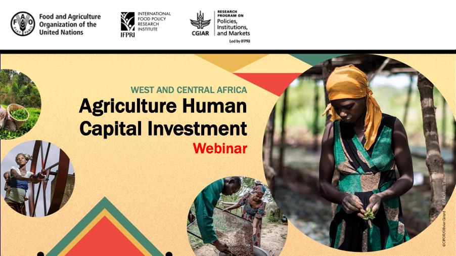 Different training models show improved farmer productivity and profitability