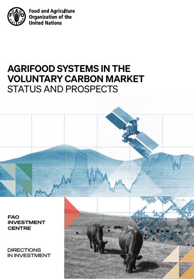 agrifood systems voluntary carbon market