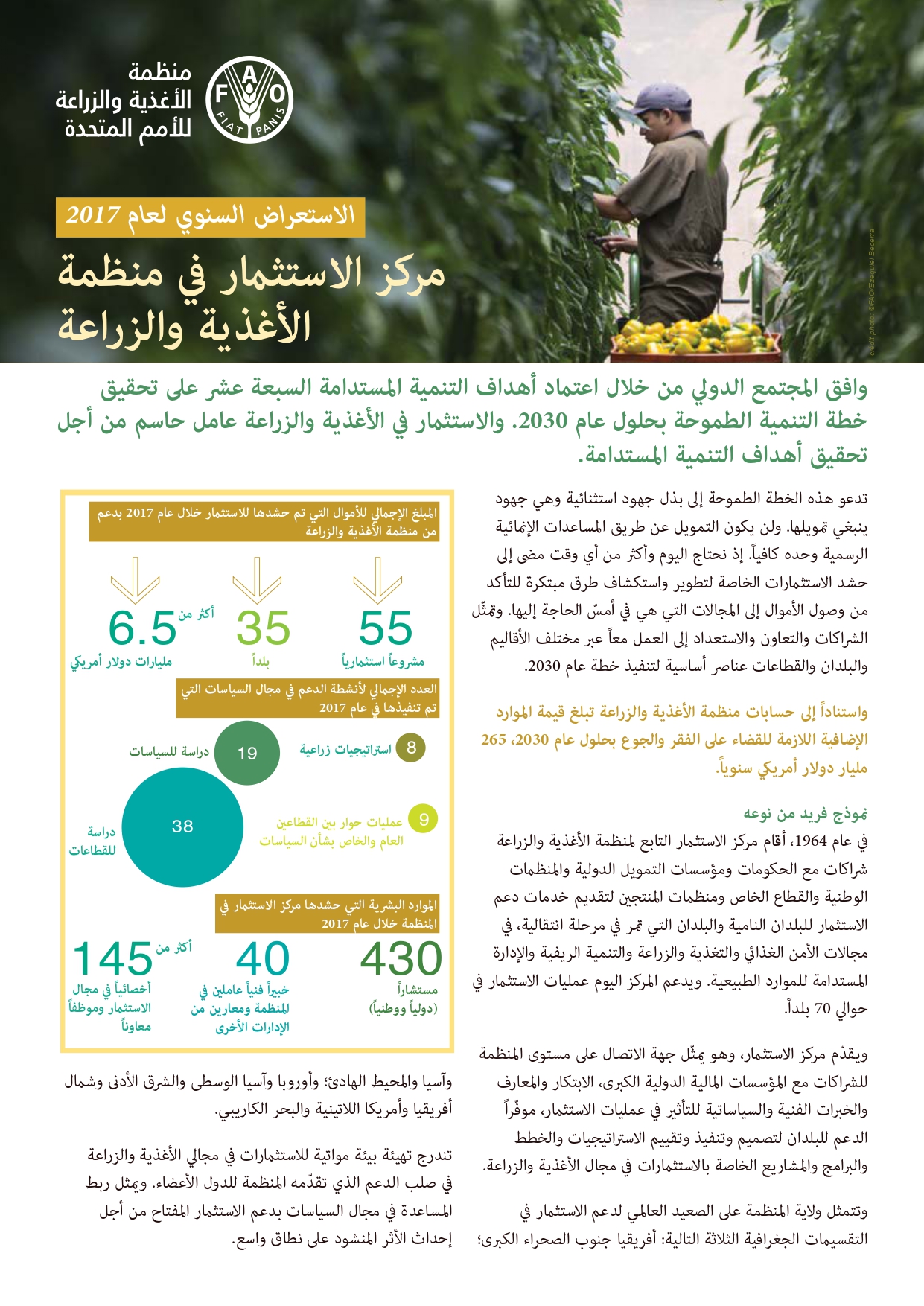 مركز الاستثمار التابع لمنظمة الأغذية والزراعة 2017 لمحة سريعة عن مركز الاستثمار التابع لمنظمة الأغذية والزراعة 2017 لمحة سريعة عن