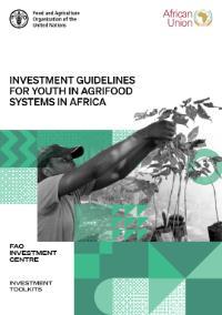 Investment Guidelines for Youth in Agrifood Systems in Africa