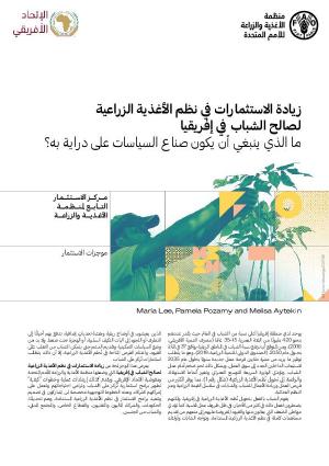زيادة واﻗﻊ في ﻧﻈﻢ اﻷﻏﺬﻳﺔ اﻟﺰراﻋﻴﺔ لصالح الشباب في إفريقيا - ما الذي ينبغي أن يكون صناع السياسات على دراية به؟ زيادة واﻗﻊ في ﻧﻈﻢ اﻷﻏﺬﻳﺔ اﻟﺰراﻋﻴﺔ لصالح الشباب في إفريقيا - ما الذي ينبغي أن يكون صناع السياسات على دراية به؟