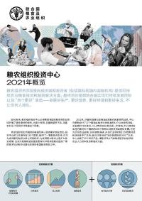 粮农组织投资中心 2021年概览 粮农组织投资中心 2021年概览