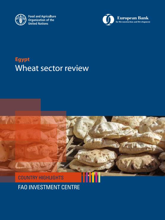 Egypt Wheat sector review