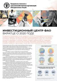 Инвестиционный центр ФАО - Вкратце о 2020 годе