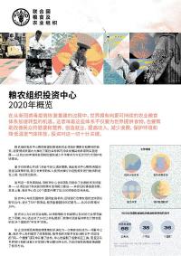 粮农组织投资中心 2020年概览 粮农组织投资中心 2020年概览