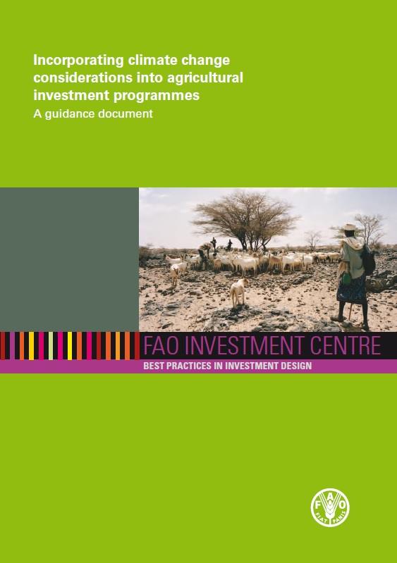 Incorporating climate change considerations into agricultural investment programmes a guidance document
