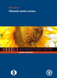 Morocco, oilseeds sector review