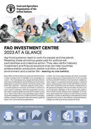FAO Investment Centre – 2023 at a glance FAO Investment Centre – 2023 at a glance