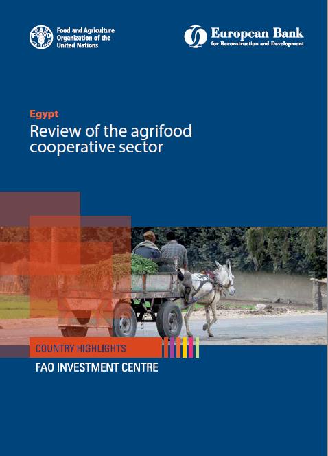 Review of cotton sector Egypt_cover
