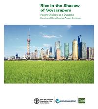 Rice in the Shadow of Skyscrapers policy Choices in a Dynamic East and Southeast Asian Setting