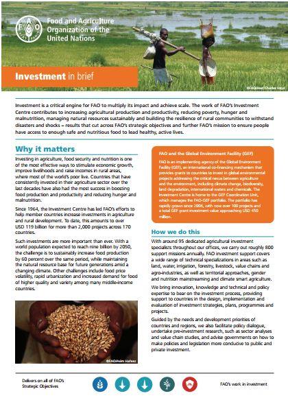 TCI Brochure