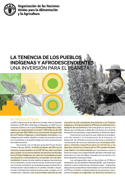 Tenencia de los pueblos