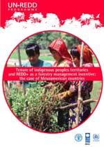 Tenure of indigenous peoples territories