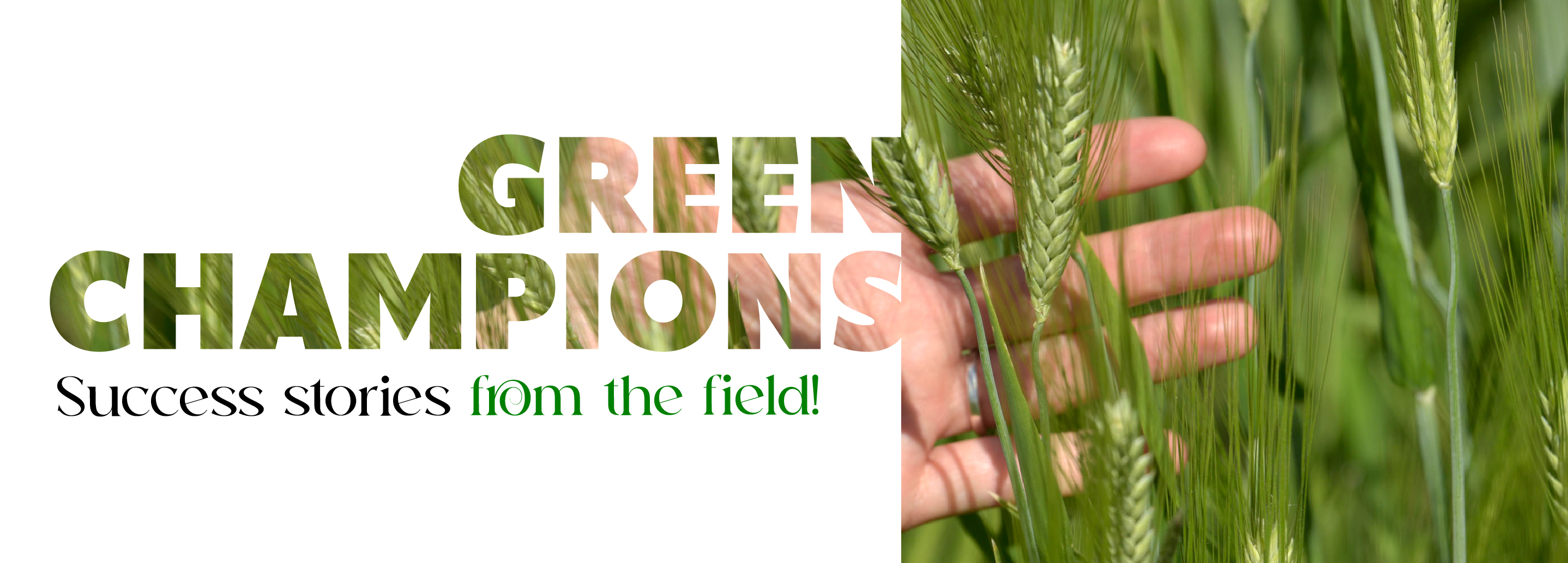 Green champions banner-EN Green champions banner-EN