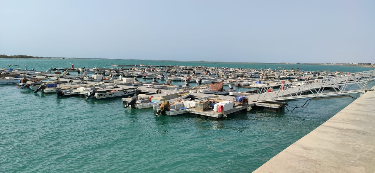Kingdom of Saudi Arabia joins global fight against illegal fishing through accession to Agreement on Port State Measures