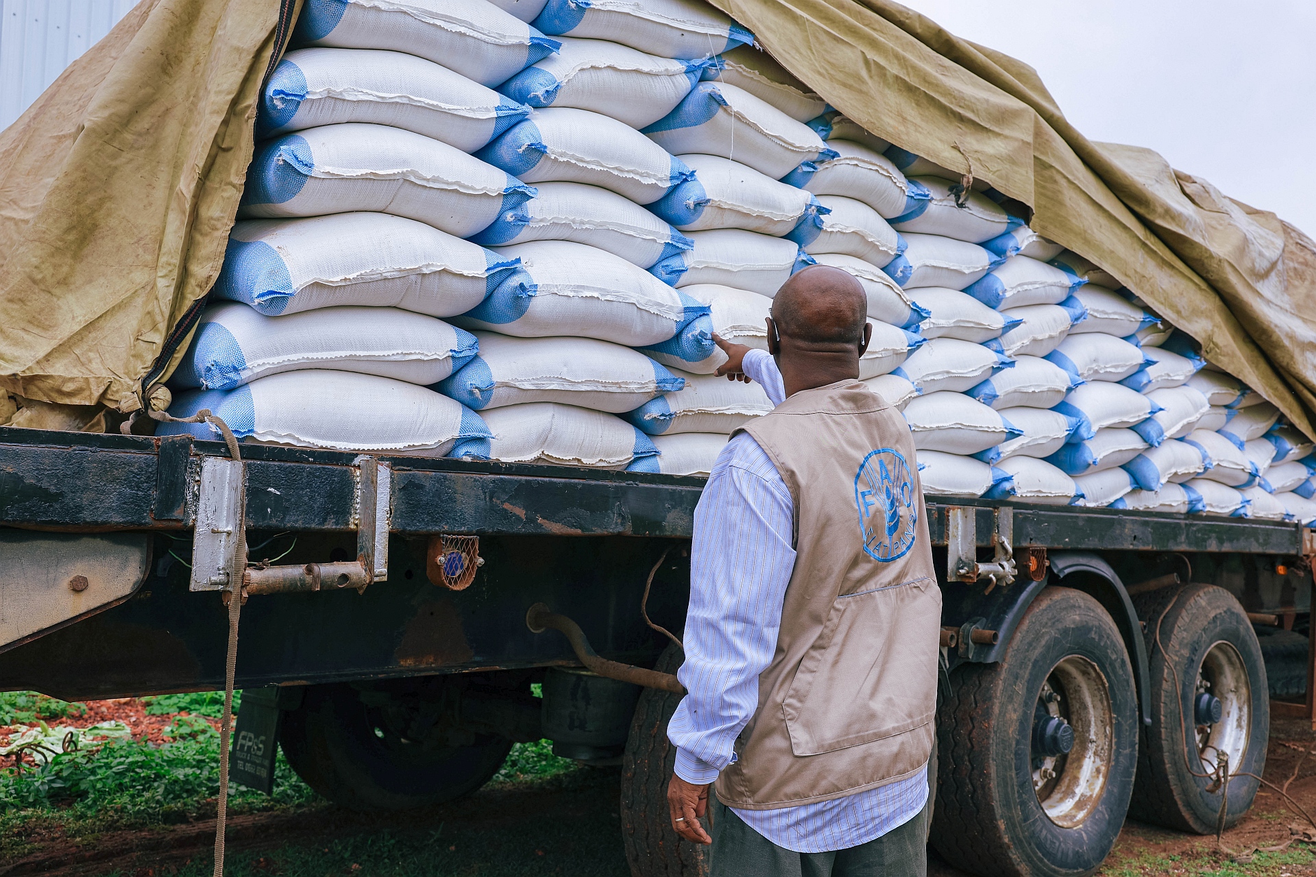 Distributing vital seeds in Gedaref, Sudan.