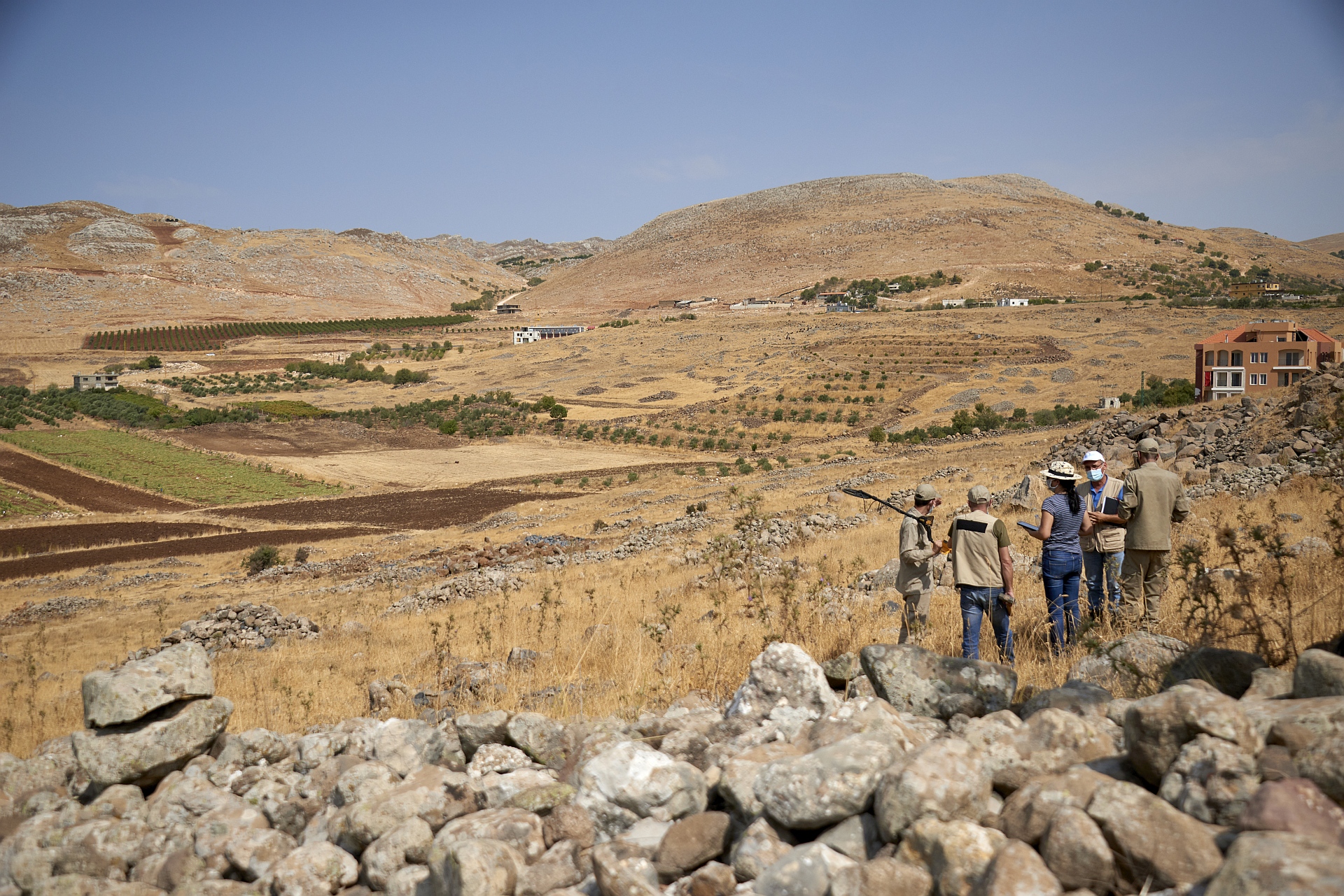 Reforestation and afforestation efforts in Lebanon