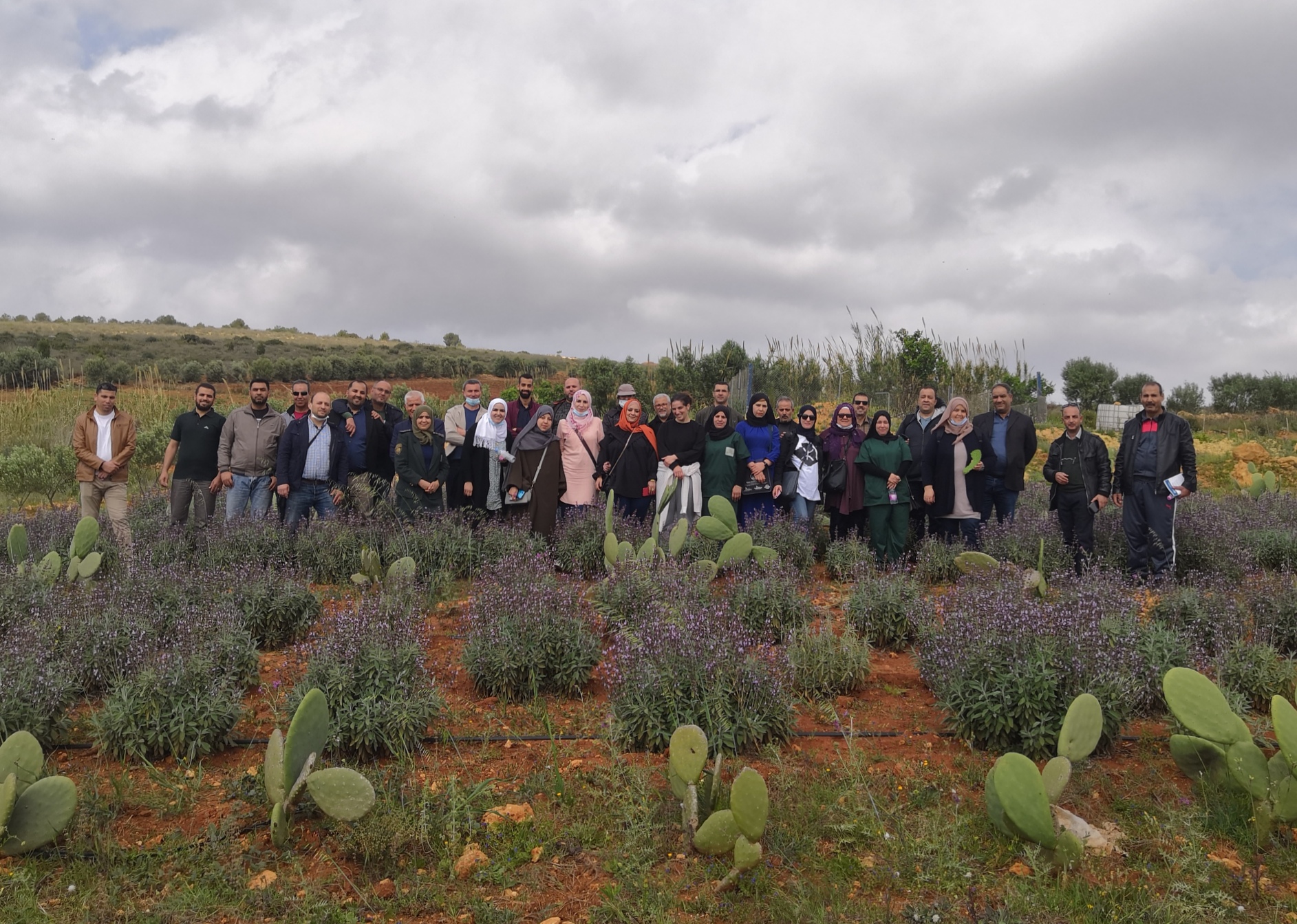 The Development of the prickly pear sector in Chlef Province, Algeria