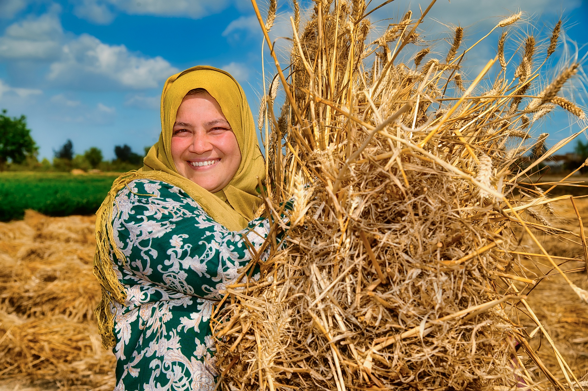 Transformative tools monitoring and reporting food security and nutrition in the Near East and North Africa region